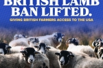 British lamb ban lifted