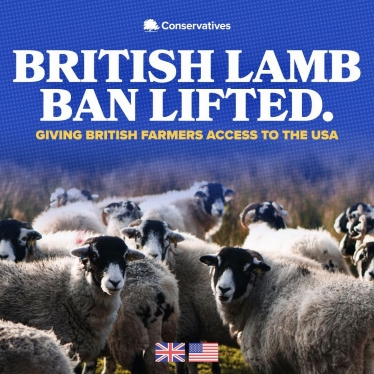 British lamb ban lifted